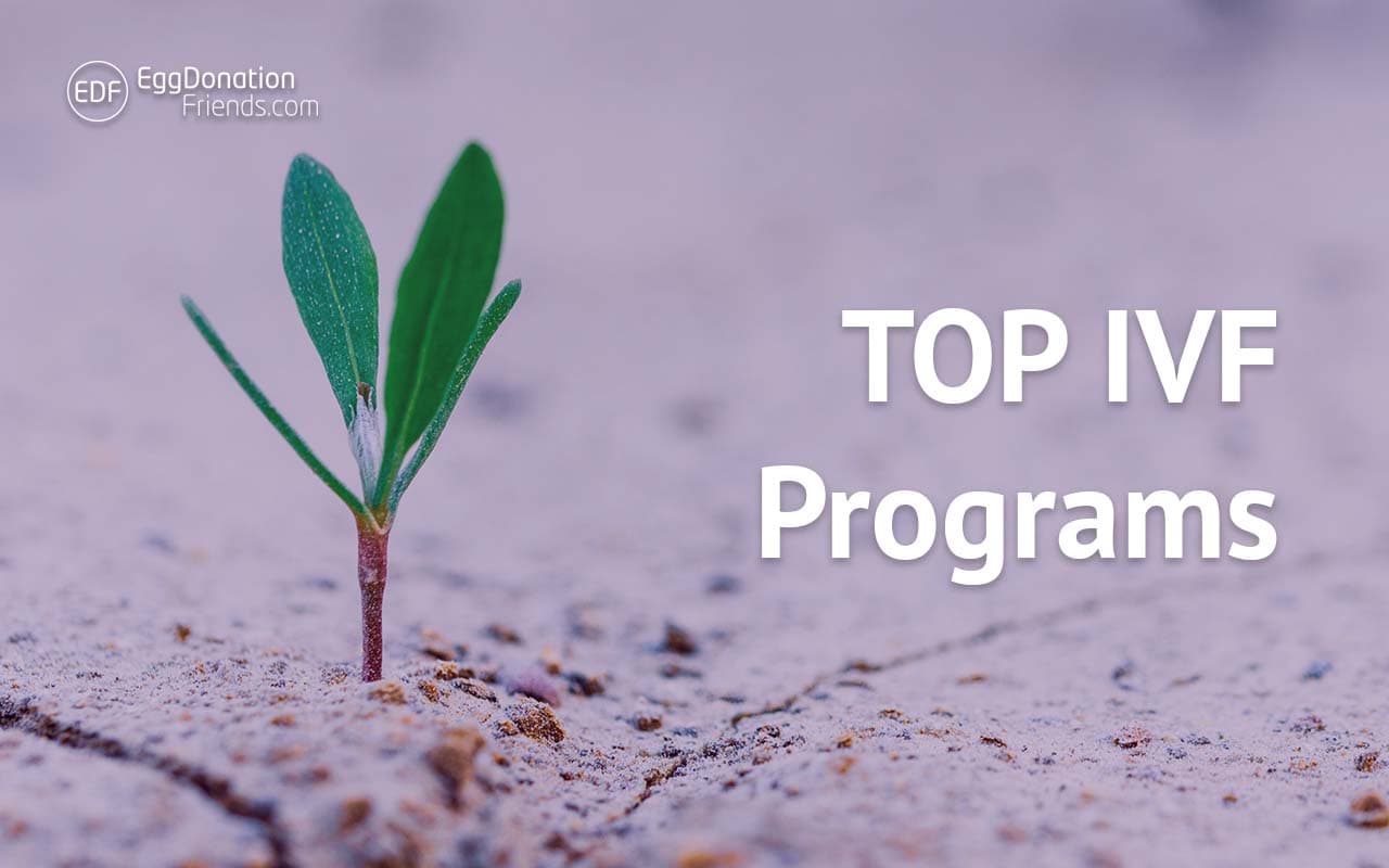 TOP IVF Programs