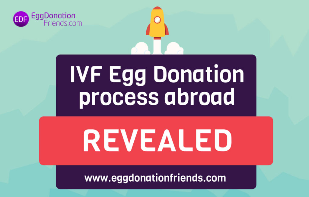 how long does the egg donation process take