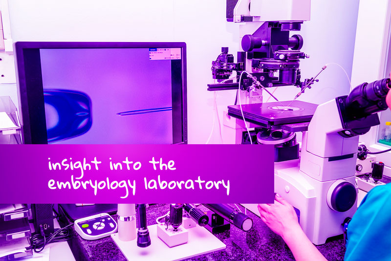 IVF embryo development - insight into the Embryology Lab
